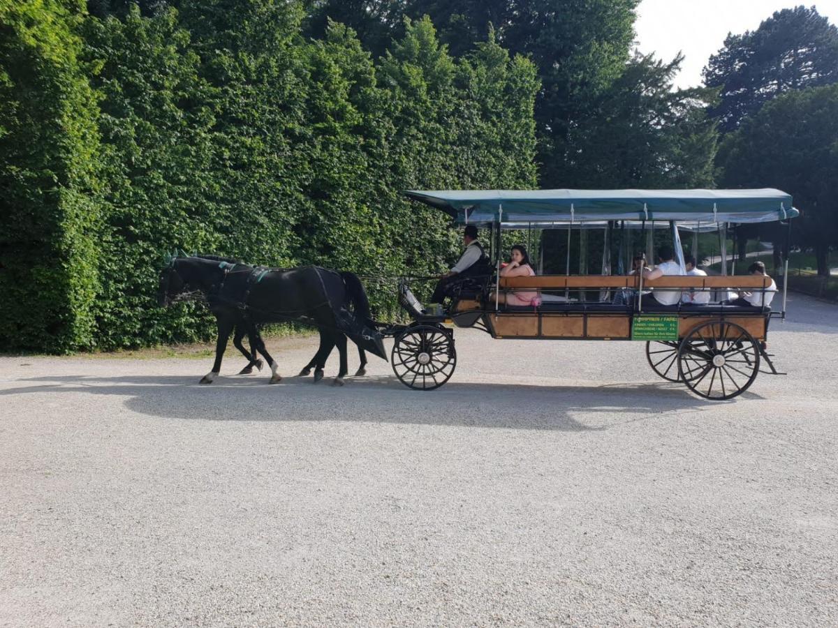 Mauthaus Schoenbrunn Apartamento